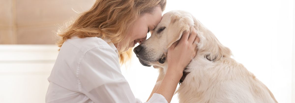 Propuesta integral para mascotas