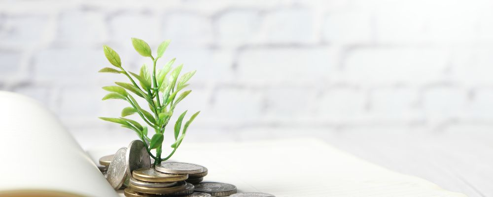 Beneficiario