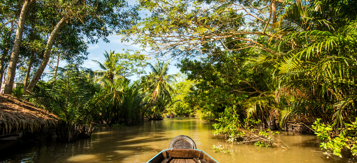 Delta de Mekong. 