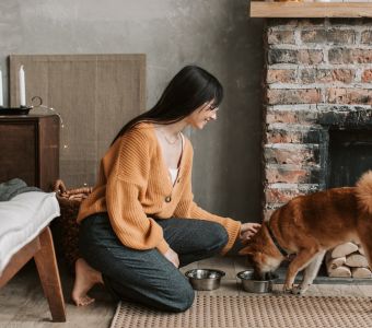 Guía de nutrición canina y felina de Iris Global