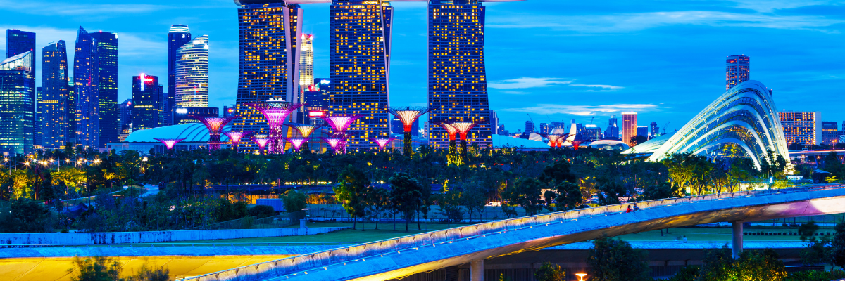 seguro de viaje singapur Iris Global