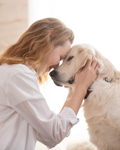 Iris Global especialistas en el cuidado integral de las mascotas 