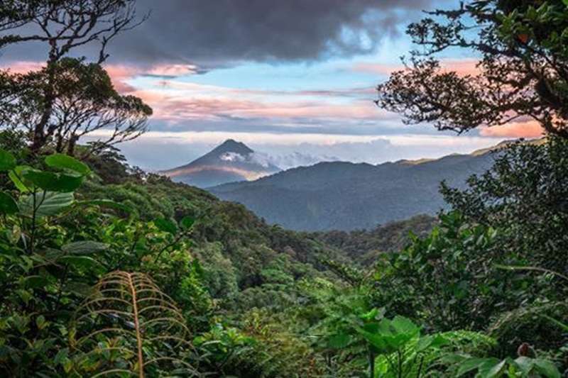 Reto Pelayo Vida Costa Rica 2025 – Iris Global