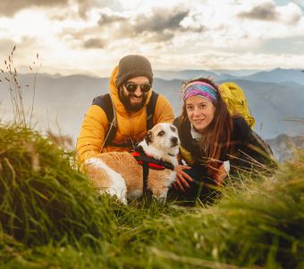 Logística, legalidad y gestión de riesgos en viajes con mascotas