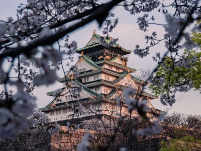 Castillo de Osaka rodeado de cerezos en flor durante la primavera