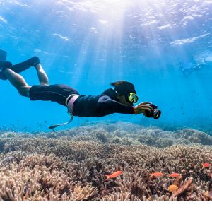 el mejor seguro de buceo
