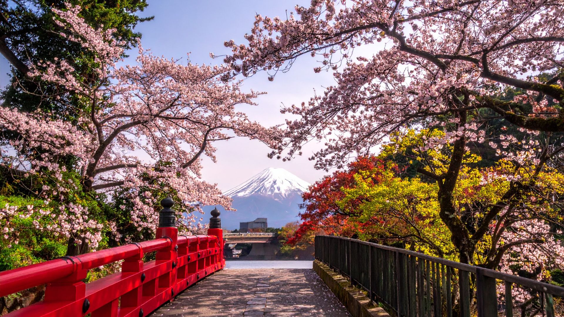 Monte Fuji al fondo durante la mejor época para viajar a Japón